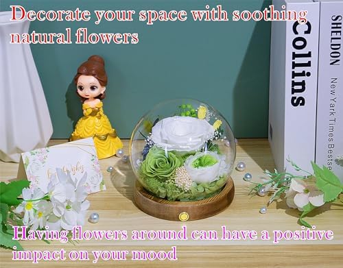Long-Lasting Real Flowers - Unique Floral Gift For You To Send Love - Image 5