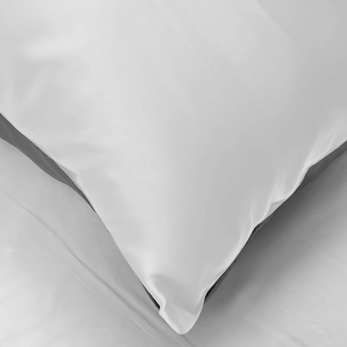 Mulberry Silk Pillowcase for Hair and Skin, Luxury Double Sided Pure Silk Pillowcase, 29x19 Inches, 1Pc (White)