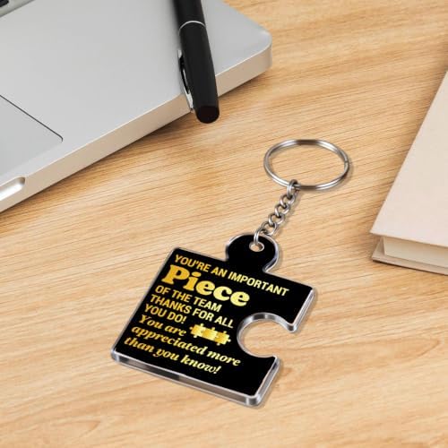 Team Appreciation Gifts Bulk for Coworkers Employee Staff Keychains - Image 5
