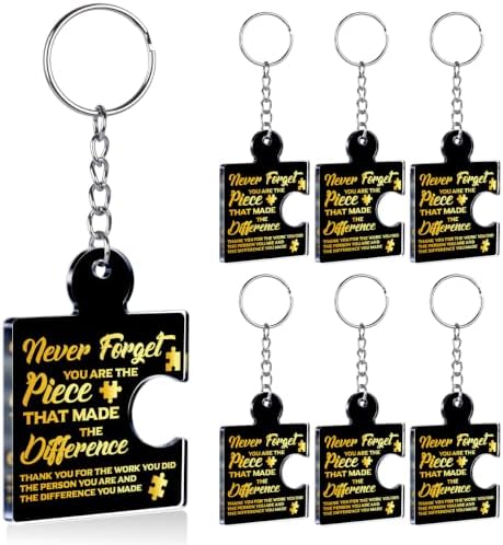 Team Appreciation Gifts Bulk for Coworkers Employee Staff Keychains by Unknown