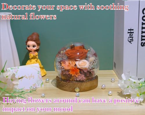 Long-Lasting Real Flowers - Unique Floral Gift For You To Send Love - Image 5