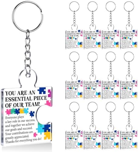 Team Appreciation Gifts Bulk for Coworkers Employee Staff Keychains by Unknown