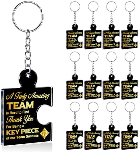 Team Appreciation Gifts Bulk for Coworkers Employee Staff Keychains by Unknown