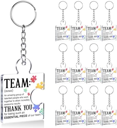 Team Appreciation Gifts Bulk for Coworkers Employee Staff Keychains by Unknown