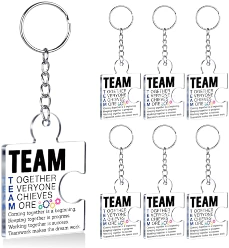 Team Appreciation Gifts Bulk for Coworkers Employee Staff Keychains by Unknown