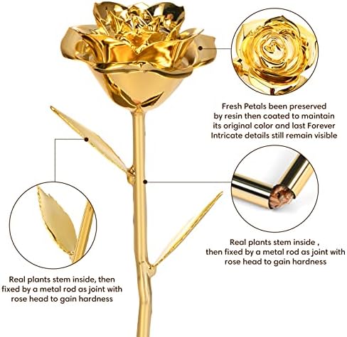 Anthonic Gold Dipped Rose Real 24K Gold Rose, Genuine One of a Kind Rose Hand Dipped in 24K Golden Roses Romantic Gifts for Women in Her Birthday Anniversary Valentines Day Mothers Day - Image 2