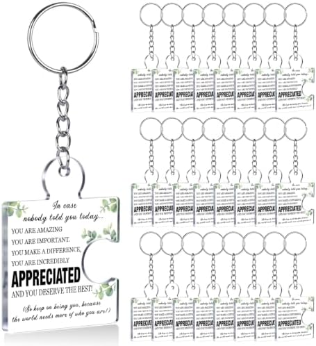 Team Appreciation Gifts Bulk for Coworkers Employee Staff Keychains by Unknown