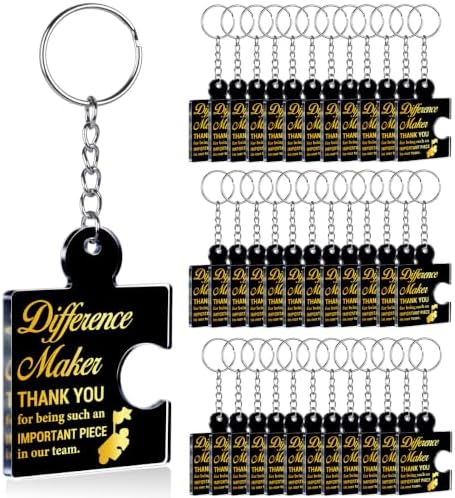 Team Appreciation Gifts Bulk for Coworkers Employee Staff Keychains by Unknown