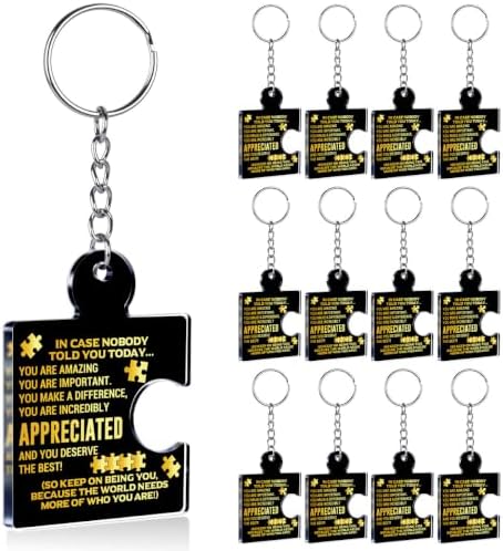 Team Appreciation Gifts Bulk for Coworkers Employee Staff Keychains by Unknown