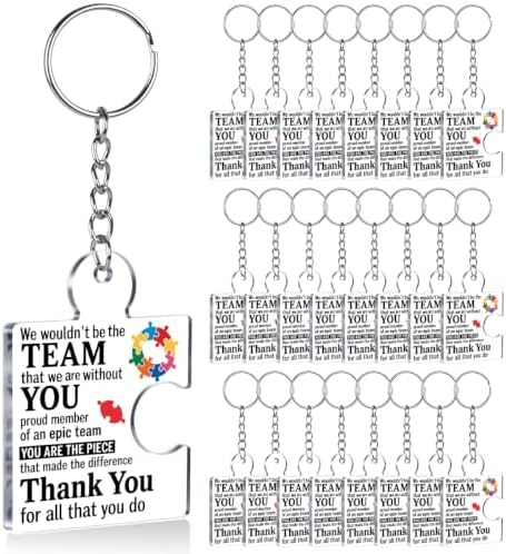 Team Appreciation Gifts Bulk for Coworkers Employee Staff Keychains by Unknown