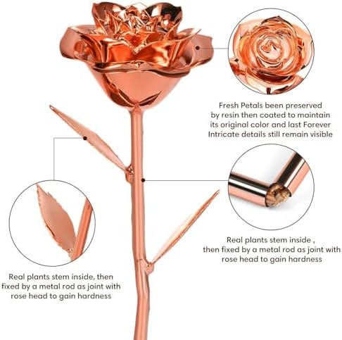 Anthonic Gold Dipped Infinity Rose Last Forever Flower Decor, Birthday Gift for Women in Her Birthday Valentines Day Mothers Day, Resin Preserved Rose | Anniversary Present for Mom (Rose Gold) - Image 2