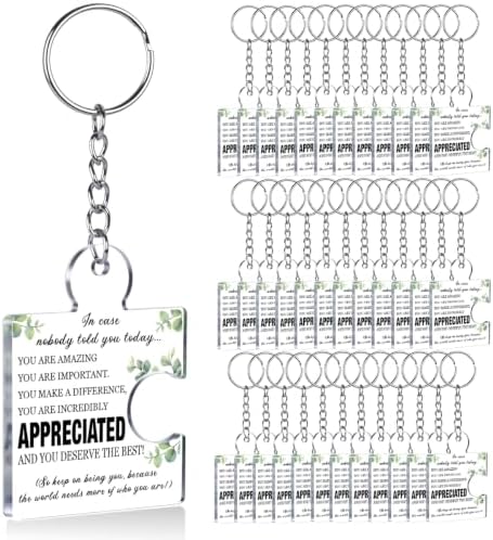 Team Appreciation Gifts Bulk for Coworkers Employee Staff Keychains by Unknown