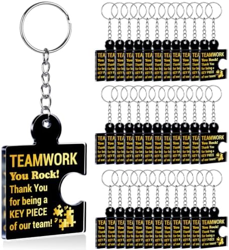 Team Appreciation Gifts Bulk for Coworkers Employee Staff Keychains by Unknown