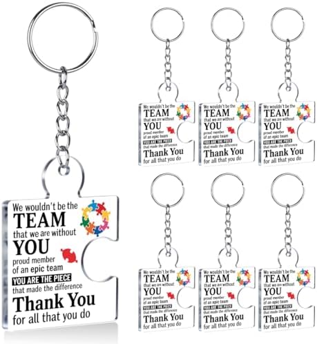 Team Appreciation Gifts Bulk for Coworkers Employee Staff Keychains by Unknown