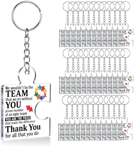 Team Appreciation Gifts Bulk for Coworkers Employee Staff Keychains by Unknown