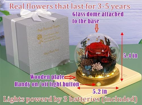 Long-Lasting Real Flowers - Unique Floral Gift For You To Send Love - Image 2