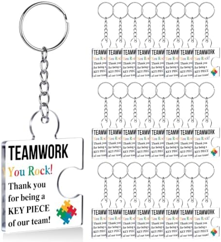 Team Appreciation Gifts Bulk for Coworkers Employee Staff Keychains by Unknown