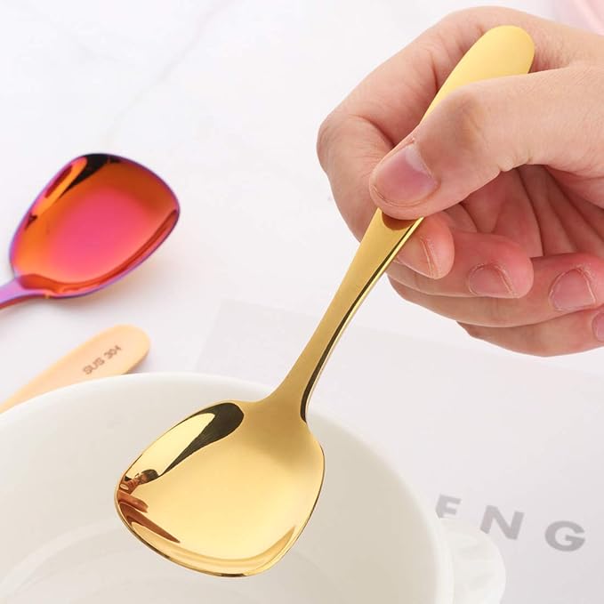 Stianless Steel Soup Spoon, Table Spoon, Set of 8 (multicolor)