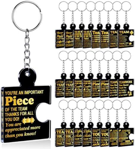 Team Appreciation Gifts Bulk for Coworkers Employee Staff Keychains by Unknown