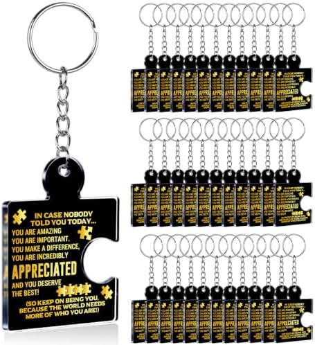 Team Appreciation Gifts Bulk for Coworkers Employee Staff Keychains by Unknown