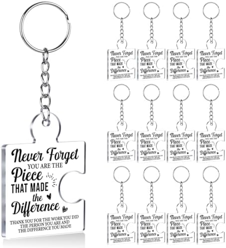 Team Appreciation Gifts Bulk for Coworkers Employee Staff Keychains by Unknown