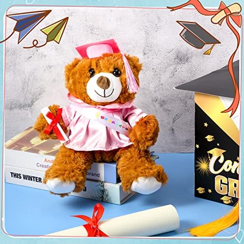 Foilswirl Graduation Bear 2026 with Gown Cap Tassel 9” Pink Graduation Stuffed Animal Plush Bear Toy for Class of 2026 Prek Preschool Kindergarten High School College Graduate Gift - Image 4