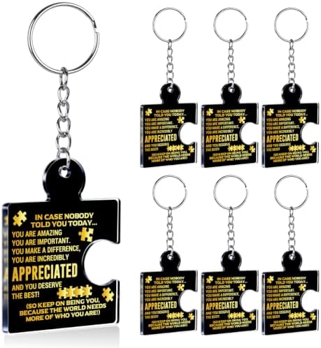 Team Appreciation Gifts Bulk for Coworkers Employee Staff Keychains by Unknown