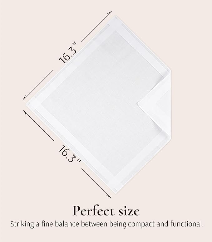 Zenssia Men's Pure Cotton Handkerchiefs with Hem, Bulk Set Hankies