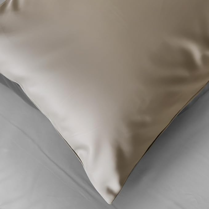 Mulberry Silk Pillowcase for Hair and Skin, Luxury Double Sided Pure Silk Pillowcase, 29x19 Inches, 1Pc (Apricot)