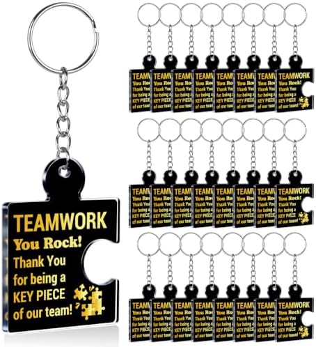 Team Appreciation Gifts Bulk for Coworkers Employee Staff Keychains by Unknown
