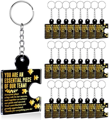 Team Appreciation Gifts Bulk for Coworkers Employee Staff Keychains by Unknown