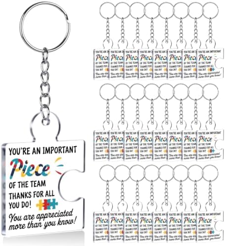 Team Appreciation Gifts Bulk for Coworkers Employee Staff Keychains by Unknown