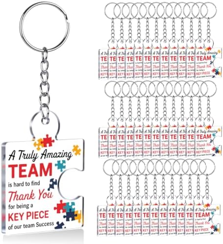 Team Appreciation Gifts Bulk for Coworkers Employee Staff Keychains by Unknown