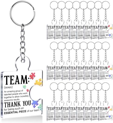 Team Appreciation Gifts Bulk for Coworkers Employee Staff Keychains by Unknown