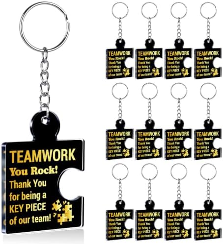 Team Appreciation Gifts Bulk for Coworkers Employee Staff Keychains by Unknown
