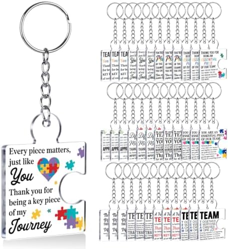Team Appreciation Gifts Bulk for Coworkers Employee Staff Keychains by Unknown