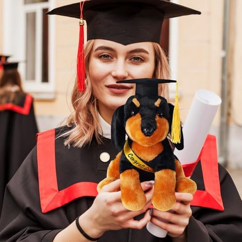 Dachshund with Graduation Cap Toys Class of 2026 Plush Stuffed Teddy Bear Animal Dog Graduation Cap and Gown with Greeting Card and Bag for Graduation Day Gift(Dachshund) - Image 4