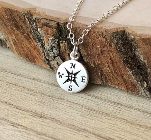 Graduation gift for her student teacher going away gift coworker oh the places you'll go small silver compass necklace - Image 3