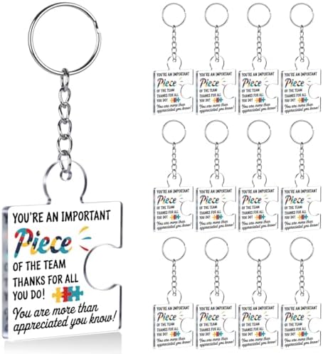Team Appreciation Gifts Bulk for Coworkers Employee Staff Keychains by Unknown