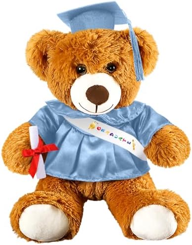 Foilswirl Graduation Bear 2026 with Gown Cap Tassel 14” Sky Blue Graduation Stuffed Animal Plush Bear Toy for Class of 2026 Prek Preschool Kindergarten High School College Graduate Gift by Foilswirl