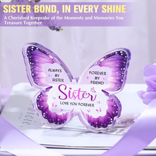 Sisters Gifts from Sister Birthday Gifts for Sisters Adult Funny Gift Ideas for Best Sister Ever Meaningful Gift Set for Siblings Cool Little Sis Present for Women Older Younger Sis Who Has Everything - Image 6