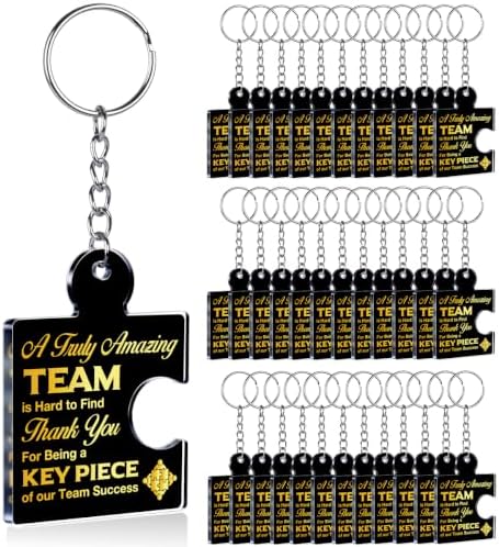 Team Appreciation Gifts Bulk for Coworkers Employee Staff Keychains by Unknown