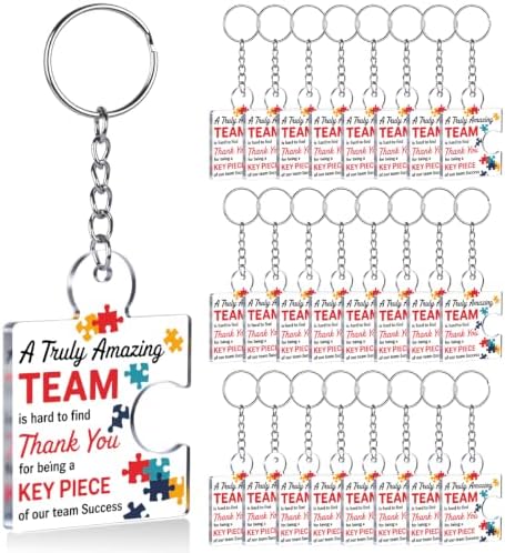 Team Appreciation Gifts Bulk for Coworkers Employee Staff Keychains by Unknown