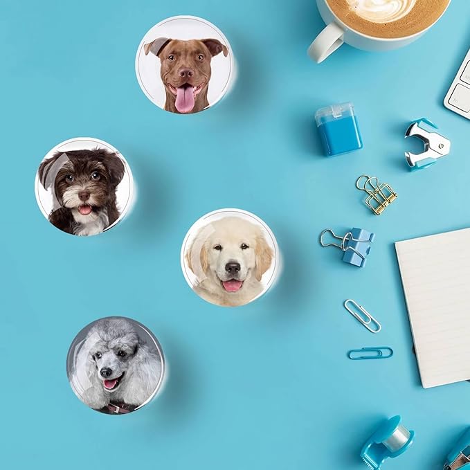 12Pcs Glass Refrigerator Magnets - Fridge Magnets Decoration for Classroom, Locker, Office Whiteboards, Cabinet, Dishwasher and Magnetic Surfaces (Cute Dog Smile)