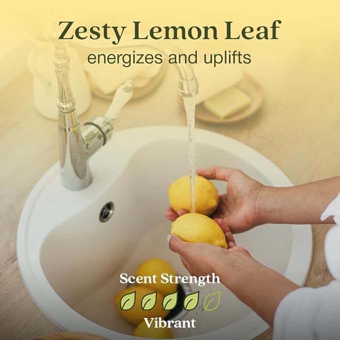 Enviroscent Non Toxic Air Freshener (Lemon Leaf & Thyme) Plug-in Home Fragrance Last 45+ Days | Kit includes 1 Refillable Plug In Warmer & 1 Scent Refill