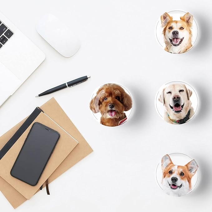 12Pcs Glass Refrigerator Magnets - Fridge Magnets Decoration for Classroom, Locker, Office Whiteboards, Cabinet, Dishwasher and Magnetic Surfaces (Cute Dog Smile)