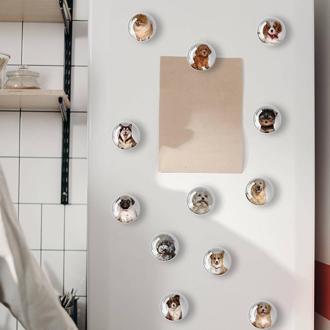 12Pcs Glass Refrigerator Magnets - Fridge Magnets Decoration for Classroom, Locker, Office Whiteboards, Cabinet, Dishwasher and Magnetic Surfaces (Cute Dogs)