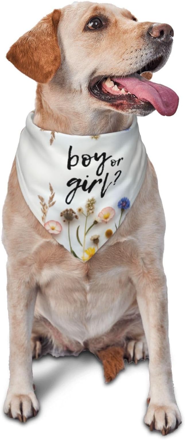 He Or She What Will It Be? Gender Reveal/Baby Announcement Dog Bandana,Pet Neckerchief for Pets Daily Wear Photo Prop Party Supplies (Blue Flower)