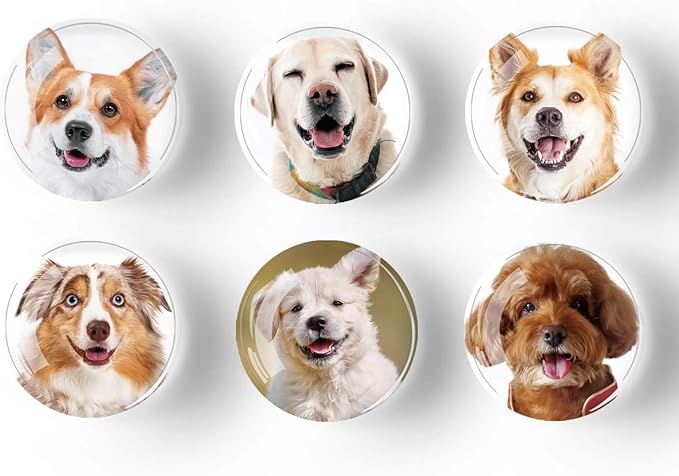 12Pcs Glass Refrigerator Magnets - Fridge Magnets Decoration for Classroom, Locker, Office Whiteboards, Cabinet, Dishwasher and Magnetic Surfaces (Cute Dog Smile)