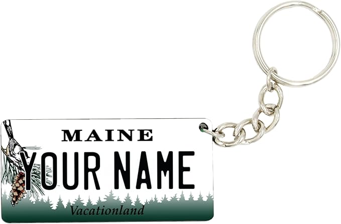 License Plate Keychain - Personalized - All States Multicolor
